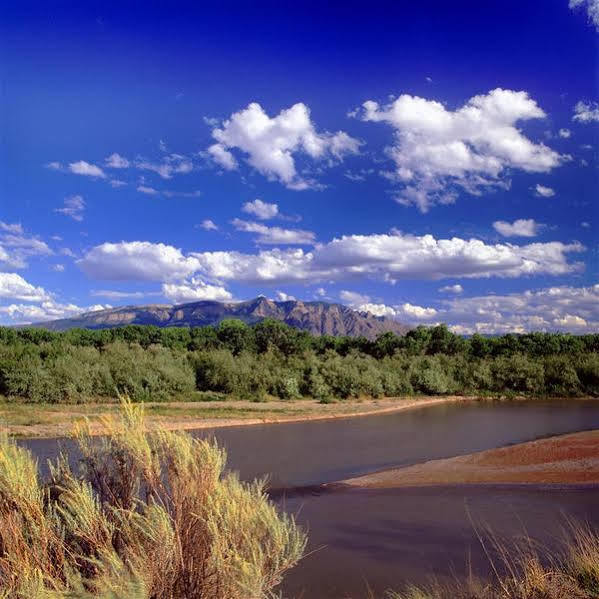 Sheraton Albuquerque Airport Hotel Esterno foto